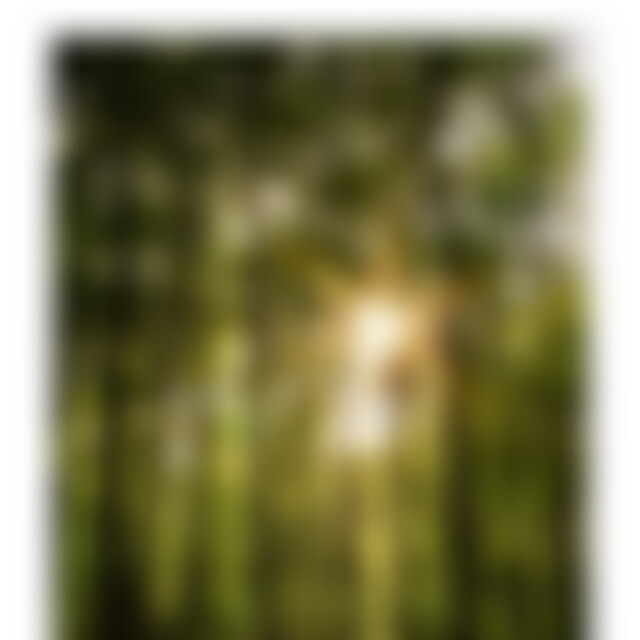 AnnoNymous (37) aus 