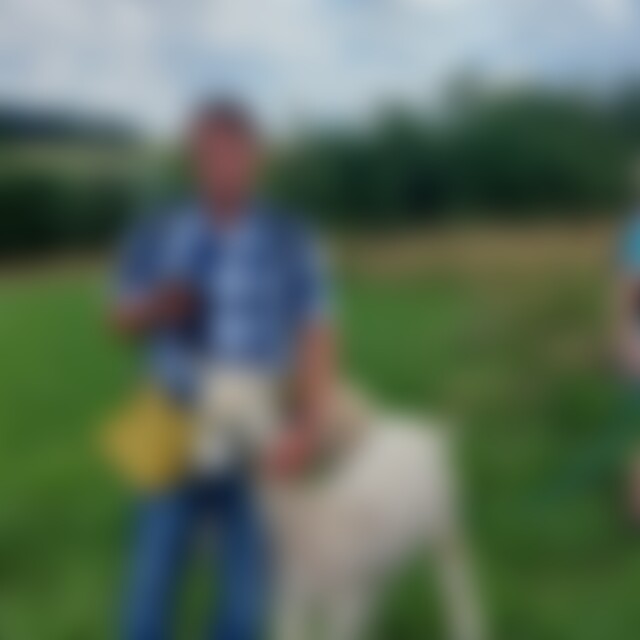 Gummibaer (60) aus Amorbach