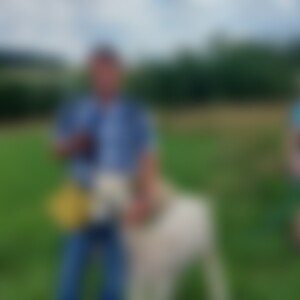 Gummibaer (60) aus Amorbach