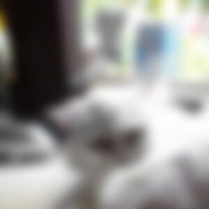 Sonny (67) aus Breisach