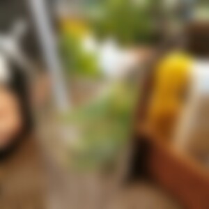 Lisawelschspike (29) aus Arnstadt