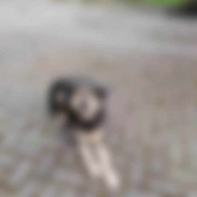 77blacky77 (67) aus Du