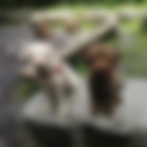 Emilia (53) aus Zürich