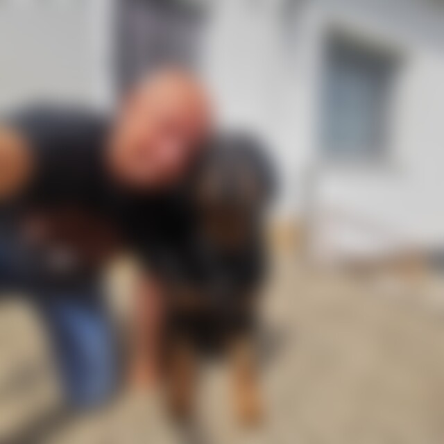 ROTTI (65) aus BITBURG