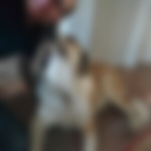 Aandere (36) aus Sachsen