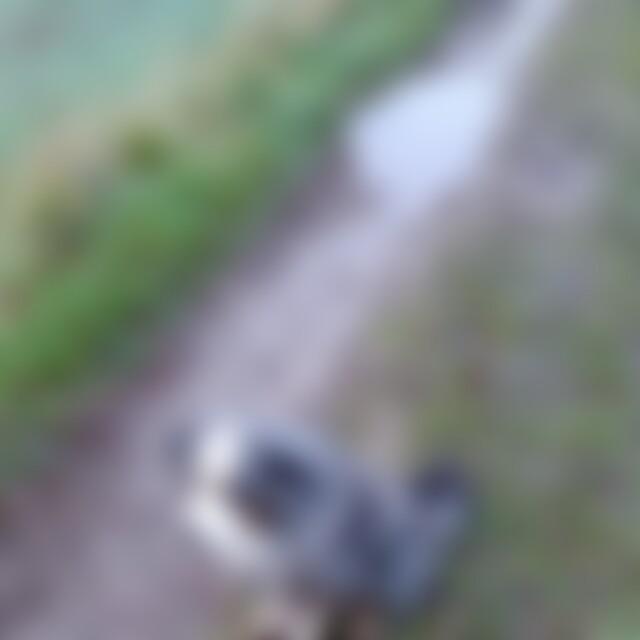 farim (37) aus Eppelheim