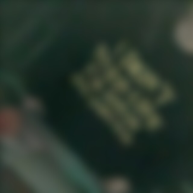 strasenwolfin420 (27) aus bad essen