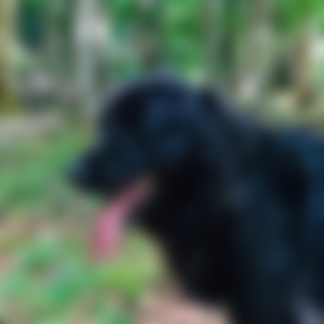 Brummsel (60) aus Bayern