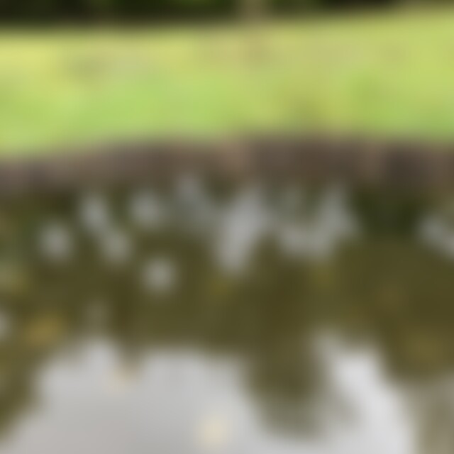 Reflexion (50) aus daheim