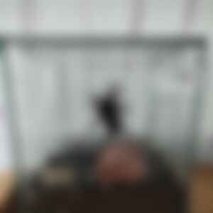 Etaner (62) aus Jülich