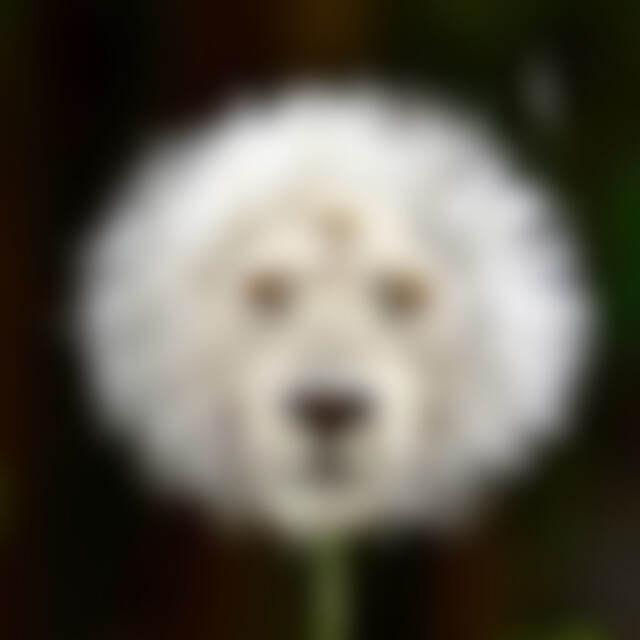 Annie (58) aus C