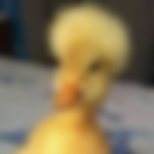 Jinjer (55) aus 00000