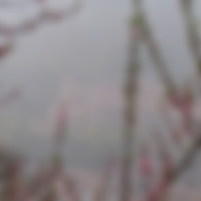 Sprossenleiter (56) aus BaWü