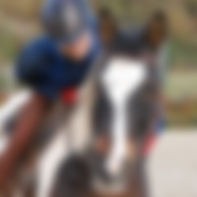 Sprossenleiter (56) aus BaWü