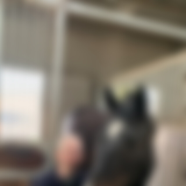 IMPaddy (34) aus Hürth