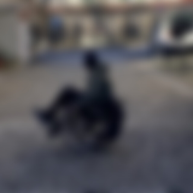 SabineQSL (52) aus Bregenz