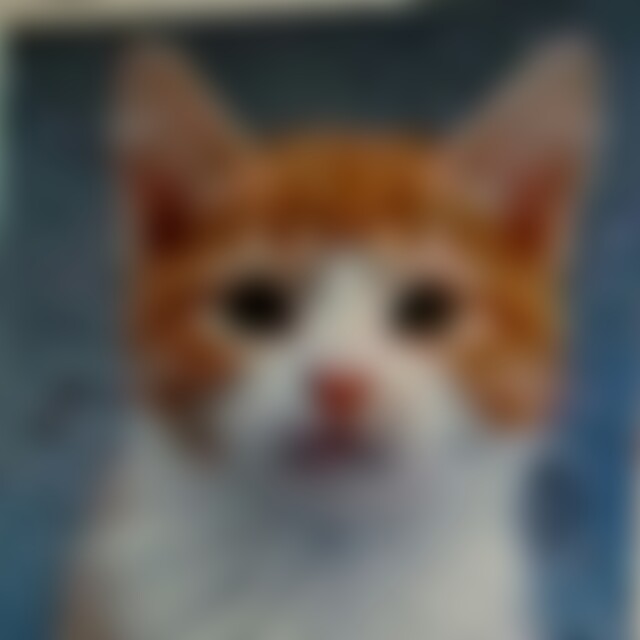 Kampfkatze (72) aus Bremervörde