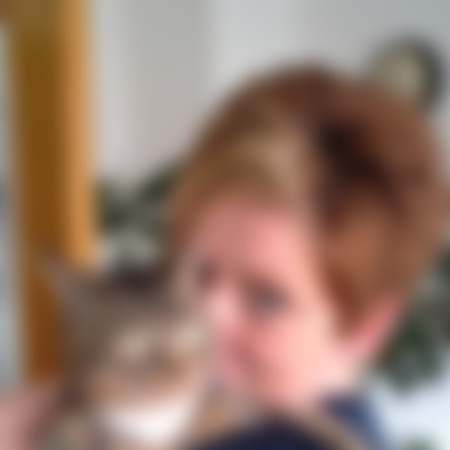 Puppe (54) aus Delligsen