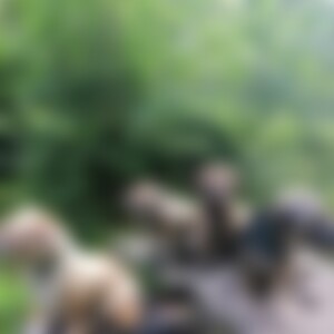 aloisr2 (58) aus paderborn