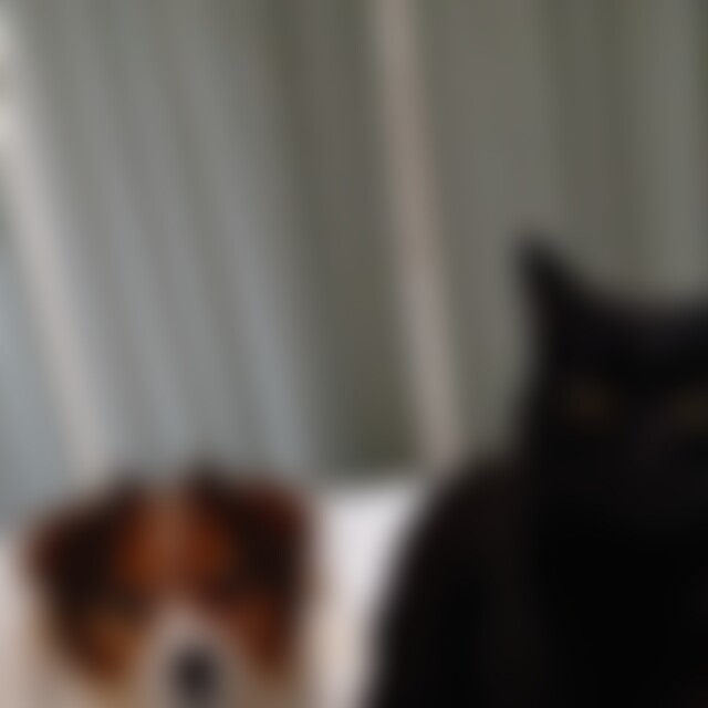 Tschemsi (71) aus Weil am Rhein