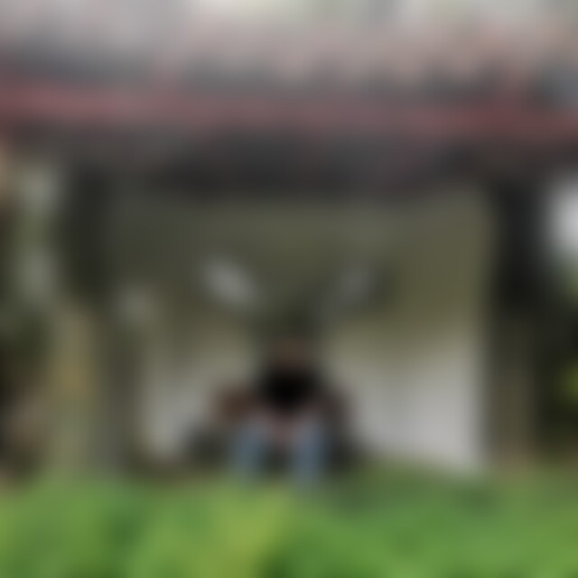 Sternenkind49 (49) aus Worms