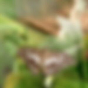 Liliana (54) aus Leipzig