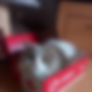 Nachteule25 (61) aus Rosenheim