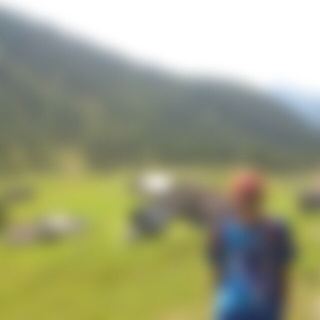 heihhnz (73) aus Traun