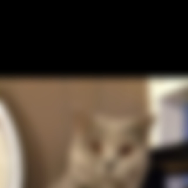 mabell8701 (62) aus Kirchen