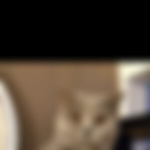 mabell8701 (62) aus Kirchen