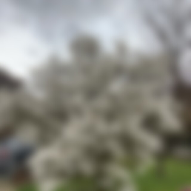 elfie669 (59) aus Remagen