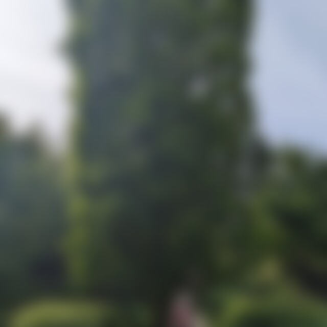 Kreativeule (38) aus Berlin