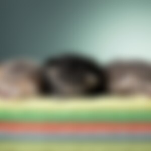 Violetta (49) aus Essen