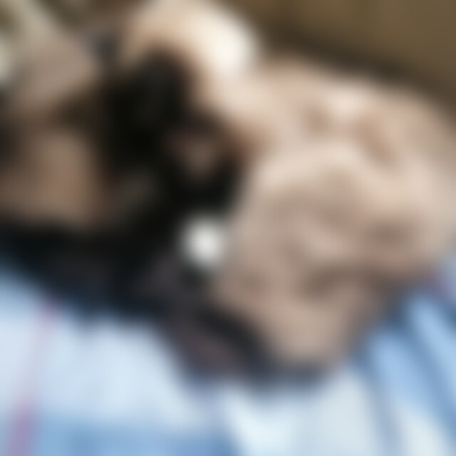 waldleben (55) aus Hamm