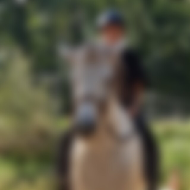 Babor (22) aus Dresden