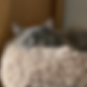 Noli (51) aus Mönchengladbach