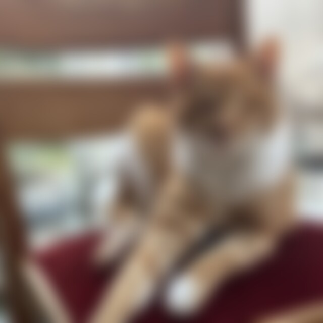 vrono (37) aus Köln