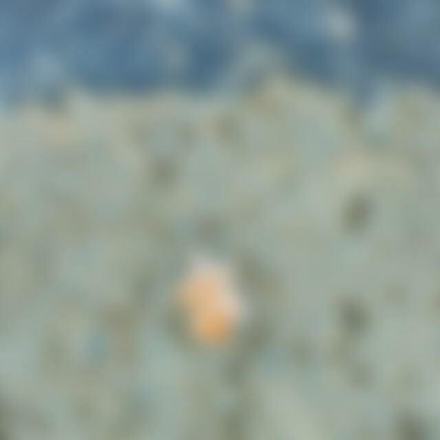 soni (32) aus Kirchlengern