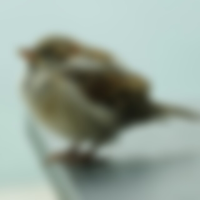 Sare (58) aus Nördlich von HH