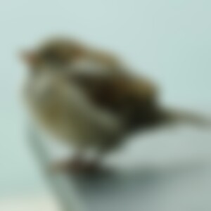 Sare (58) aus Nördlich von HH