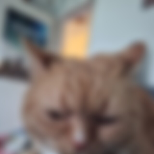Felix652014 (37) aus Naila
