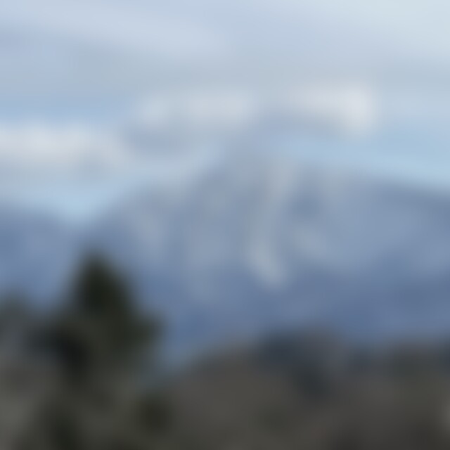 Zitronenfalter (62) aus Weserbergland