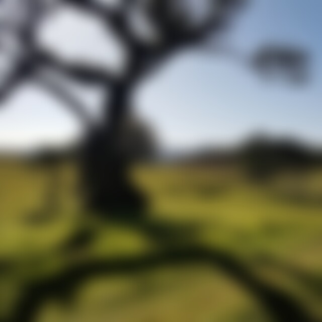 yoursfaithfully (62) aus Musterhausen