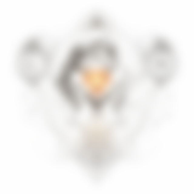 raycircle (47) aus .