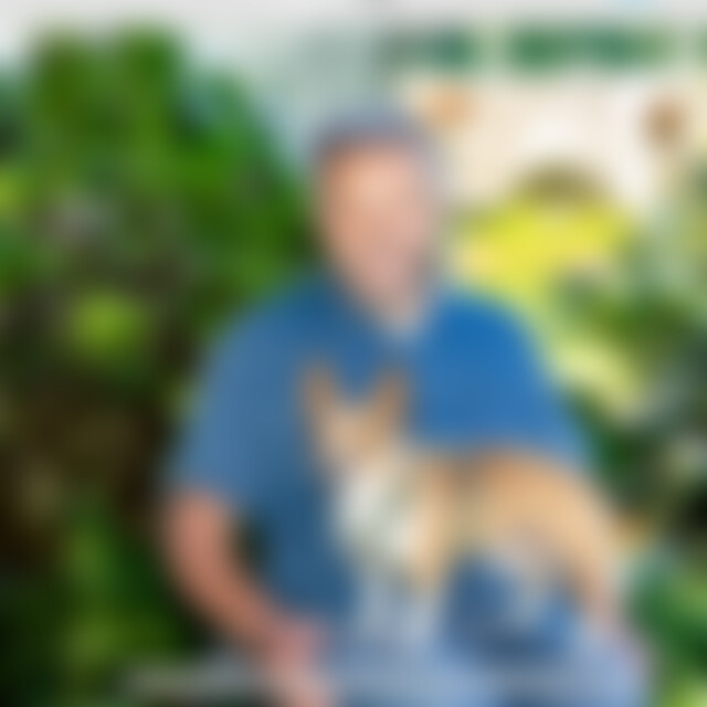 Yaris (73) aus Linz