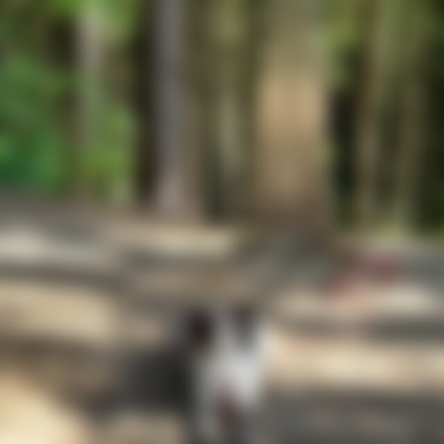 Kaddel (64) aus Hamfelde Stormarn