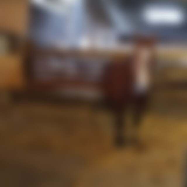 nisikitty (34) aus Göppingen