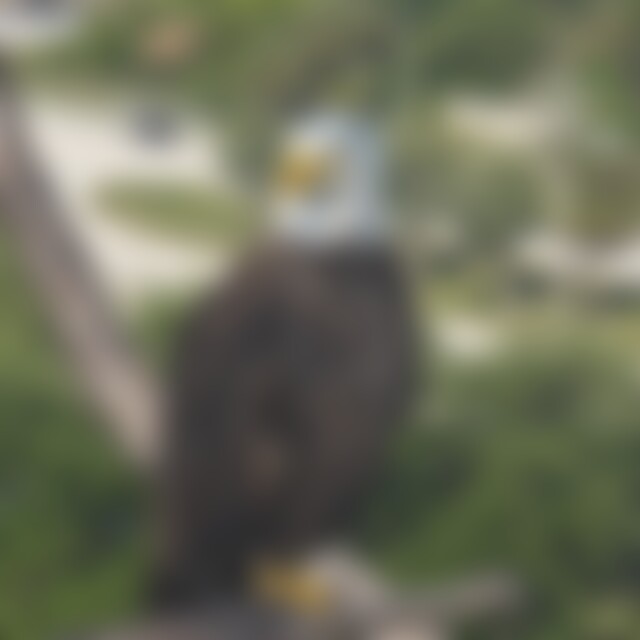 Susanna2 (60) aus Ratingen