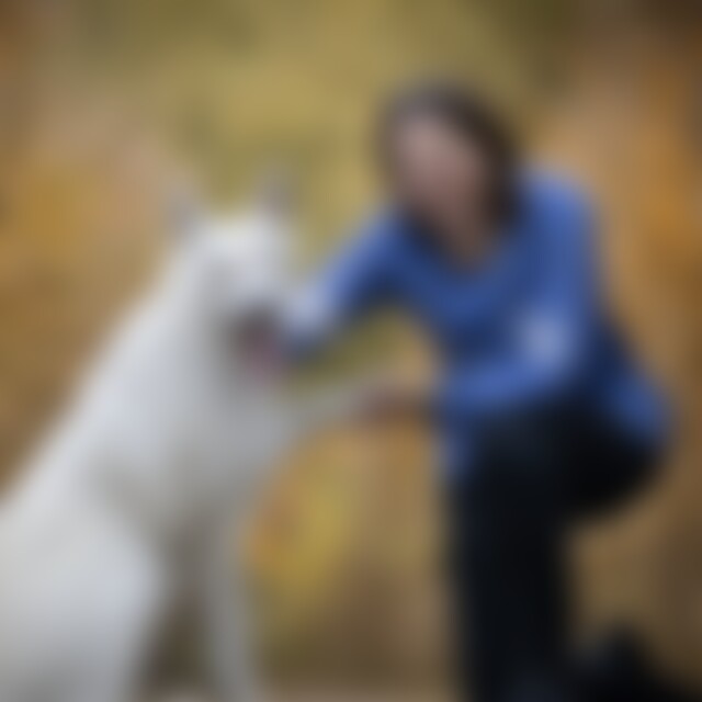 Juli87 (38) aus Hannover