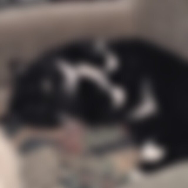 Pussy (72) aus Hennigsdorf